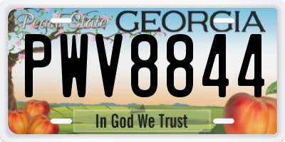 GA license plate PWV8844