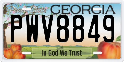 GA license plate PWV8849