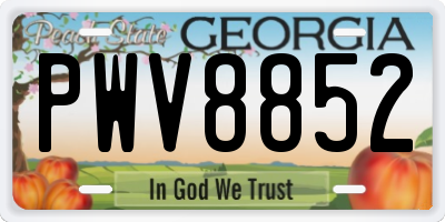 GA license plate PWV8852
