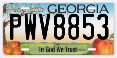 GA license plate PWV8853