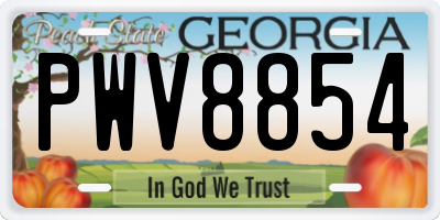 GA license plate PWV8854