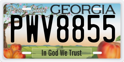 GA license plate PWV8855