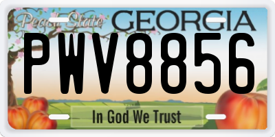 GA license plate PWV8856