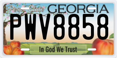 GA license plate PWV8858