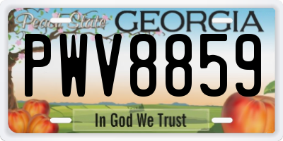 GA license plate PWV8859