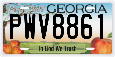 GA license plate PWV8861