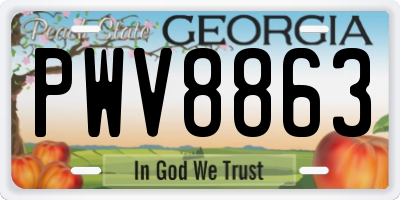 GA license plate PWV8863