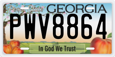 GA license plate PWV8864