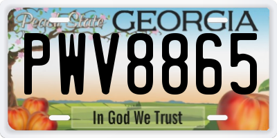 GA license plate PWV8865