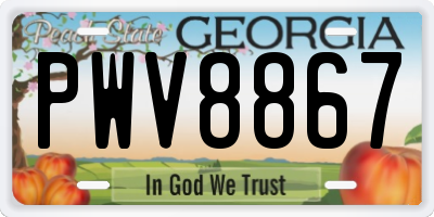GA license plate PWV8867