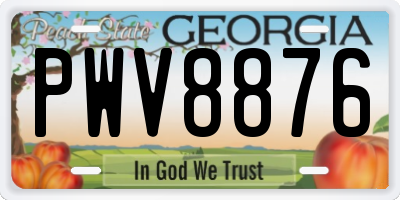 GA license plate PWV8876