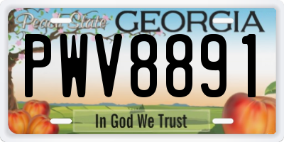 GA license plate PWV8891