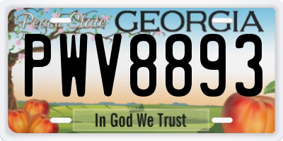 GA license plate PWV8893