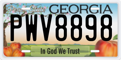 GA license plate PWV8898