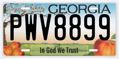 GA license plate PWV8899