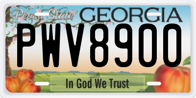GA license plate PWV8900