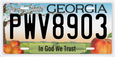 GA license plate PWV8903