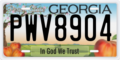 GA license plate PWV8904