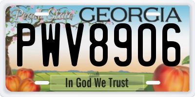 GA license plate PWV8906