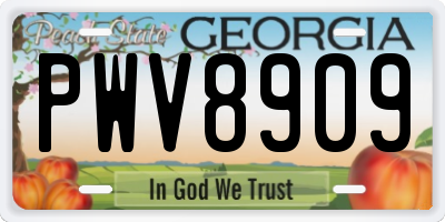 GA license plate PWV8909
