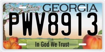 GA license plate PWV8913