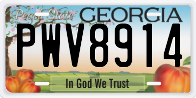 GA license plate PWV8914