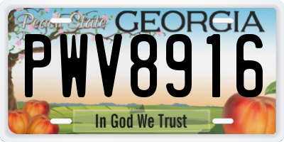 GA license plate PWV8916