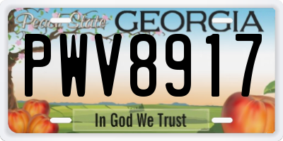 GA license plate PWV8917