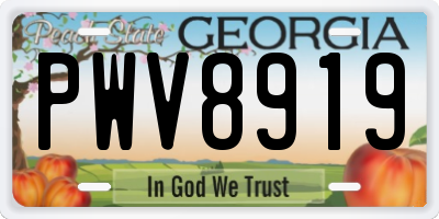 GA license plate PWV8919