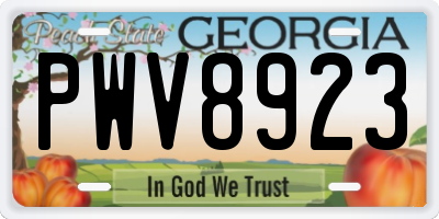 GA license plate PWV8923