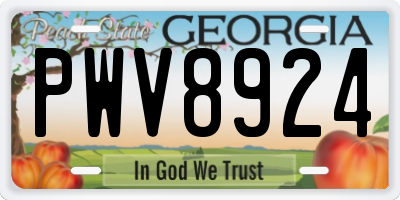 GA license plate PWV8924