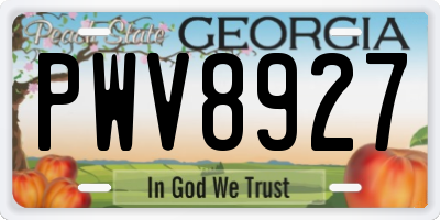 GA license plate PWV8927