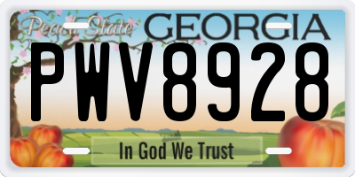 GA license plate PWV8928