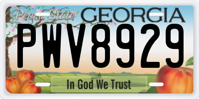 GA license plate PWV8929