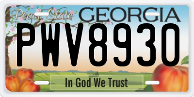 GA license plate PWV8930