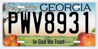 GA license plate PWV8931