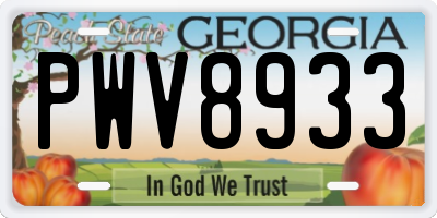 GA license plate PWV8933