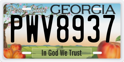 GA license plate PWV8937