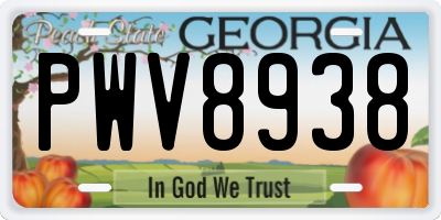 GA license plate PWV8938
