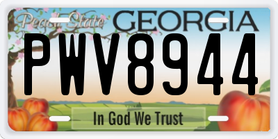 GA license plate PWV8944