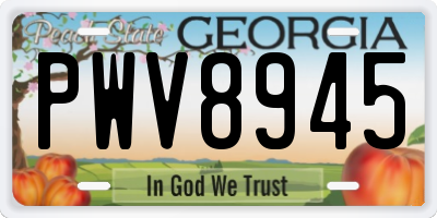 GA license plate PWV8945