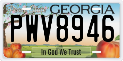 GA license plate PWV8946