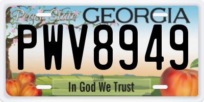 GA license plate PWV8949