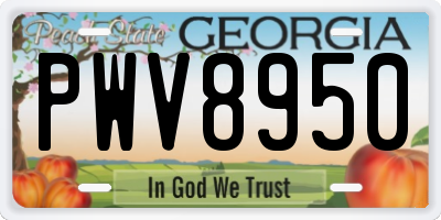 GA license plate PWV8950