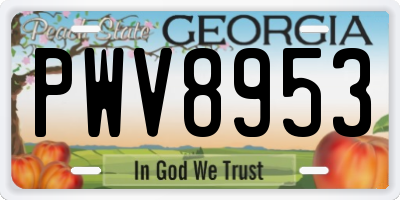 GA license plate PWV8953