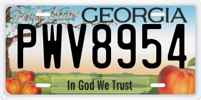GA license plate PWV8954