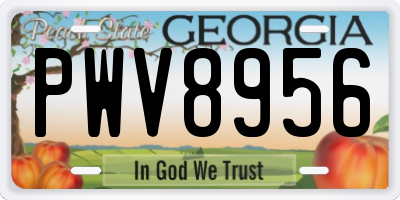 GA license plate PWV8956