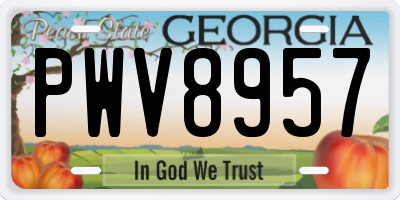 GA license plate PWV8957