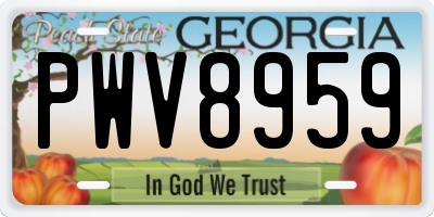 GA license plate PWV8959