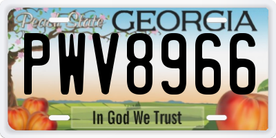 GA license plate PWV8966